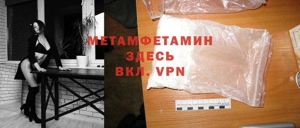 индика Бородино