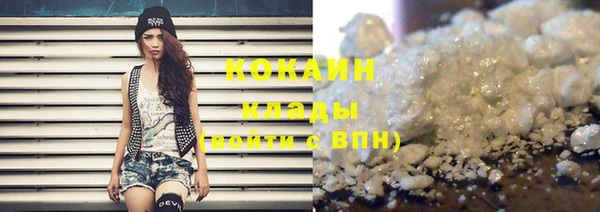 индика Бородино