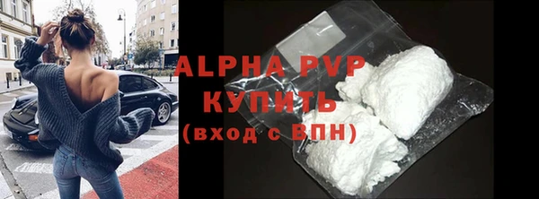 индика Бородино