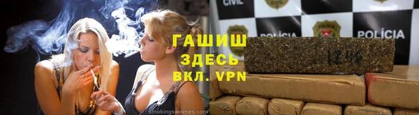 индика Бородино