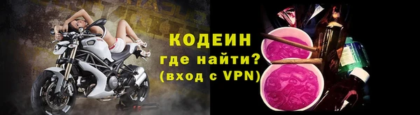 индика Бородино