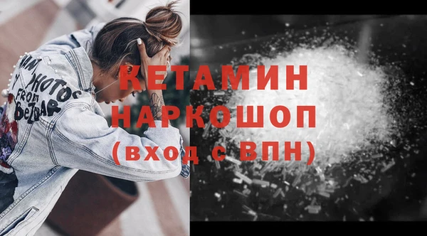 индика Бородино