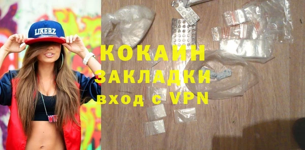 индика Бородино
