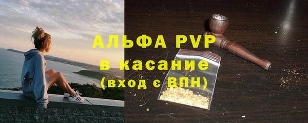 индика Бородино