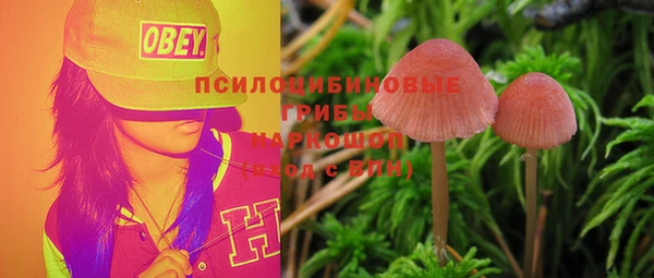трава Бугульма