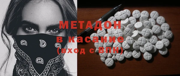 индика Бородино